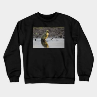 Pigpen Crewneck Sweatshirt